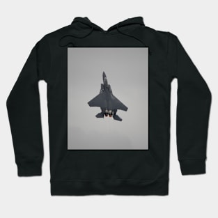 USAF F-15E Strike Eagle Hoodie